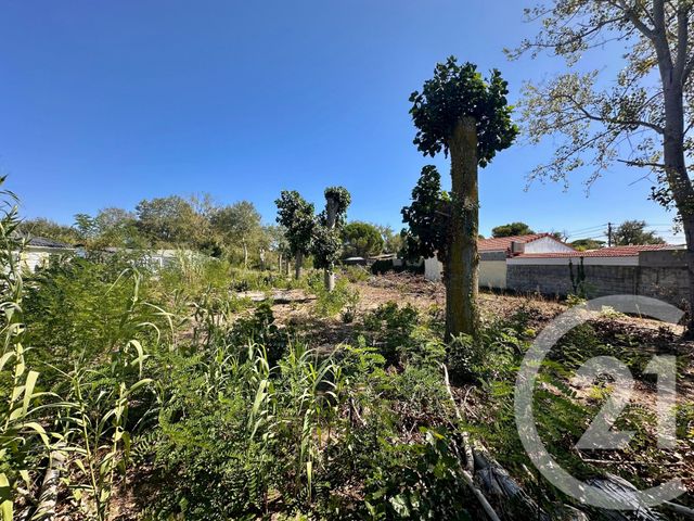 terrain à vendre - 802.0 m2 - LE GRAU D AGDE - 34 - LANGUEDOC-ROUSSILLON - Century 21 Vue Sur Mer