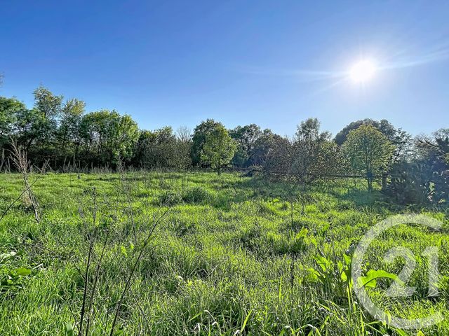 maison à vendre - 6 pièces - 144.22 m2 - FLORENSAC - 34 - LANGUEDOC-ROUSSILLON - Century 21 Vue Sur Mer