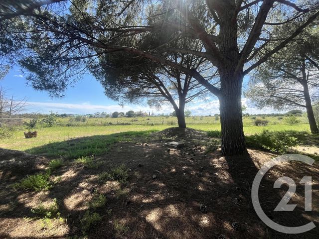 maison à vendre - 7 pièces - 200.0 m2 - VIAS - 34 - LANGUEDOC-ROUSSILLON - Century 21 Vue Sur Mer