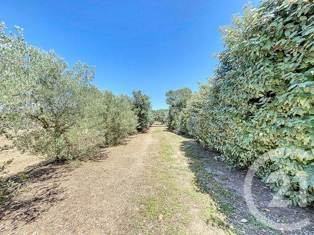 maison à vendre - 7 pièces - 223.91 m2 - 34 - LANGUEDOC-ROUSSILLON - Century 21 Vue Sur Mer