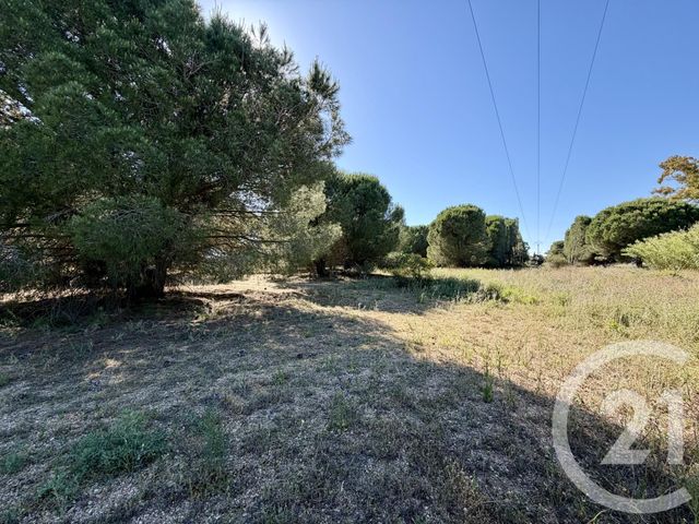 terrain à vendre - 5741.0 m2 - MARSEILLAN - 34 - LANGUEDOC-ROUSSILLON - Century 21 Vue Sur Mer