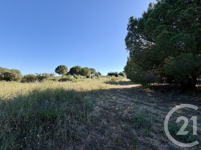 terrain à vendre - 5741.0 m2 - MARSEILLAN - 34 - LANGUEDOC-ROUSSILLON - Century 21 Vue Sur Mer
