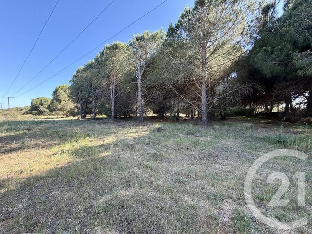 terrain à vendre - 5741.0 m2 - MARSEILLAN - 34 - LANGUEDOC-ROUSSILLON - Century 21 Vue Sur Mer