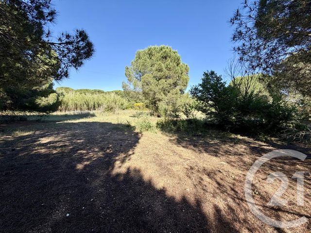 terrain à vendre - 5741.0 m2 - MARSEILLAN - 34 - LANGUEDOC-ROUSSILLON - Century 21 Vue Sur Mer