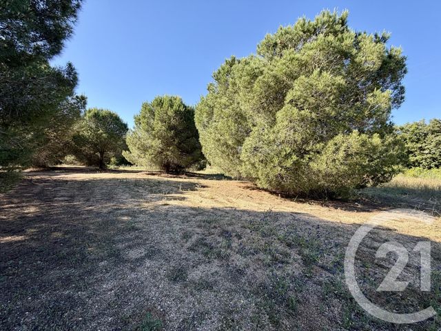 terrain à vendre - 5741.0 m2 - MARSEILLAN - 34 - LANGUEDOC-ROUSSILLON - Century 21 Vue Sur Mer