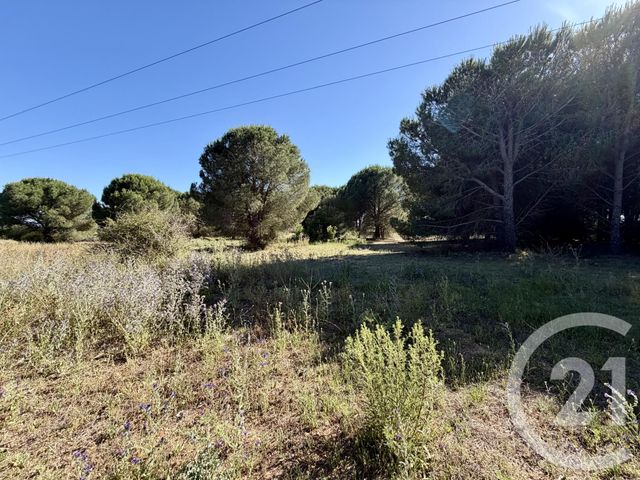 terrain à vendre - 5741.0 m2 - MARSEILLAN - 34 - LANGUEDOC-ROUSSILLON - Century 21 Vue Sur Mer