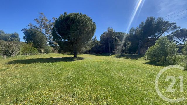 Terrain à vendre MARSEILLAN