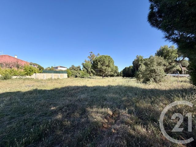 terrain à vendre - 443.0 m2 - MARSEILLAN - 34 - LANGUEDOC-ROUSSILLON - Century 21 Vue Sur Mer