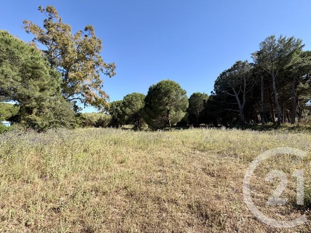 terrain à vendre - 443.0 m2 - MARSEILLAN - 34 - LANGUEDOC-ROUSSILLON - Century 21 Vue Sur Mer